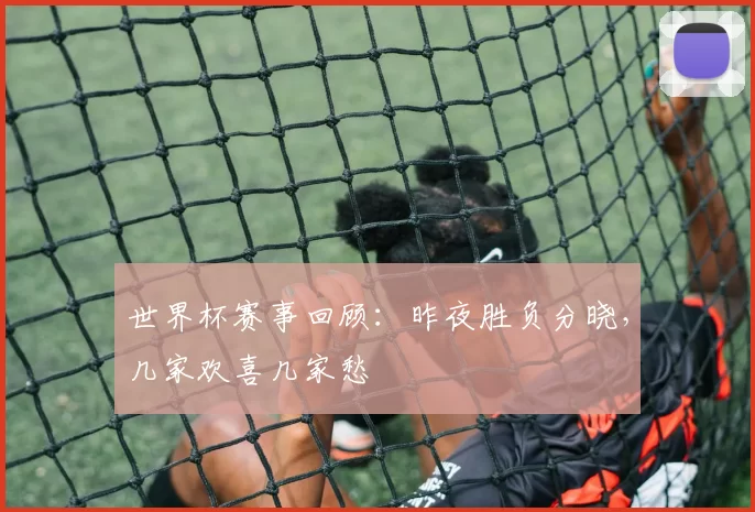 世界杯赛事回顾：昨夜胜负分晓，几家欢喜几家愁
