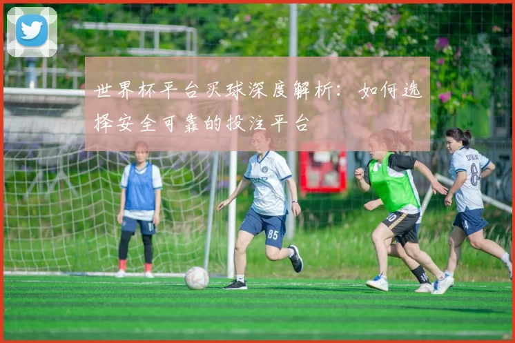 世界杯平台买球深度解析：如何选择安全可靠的投注平台