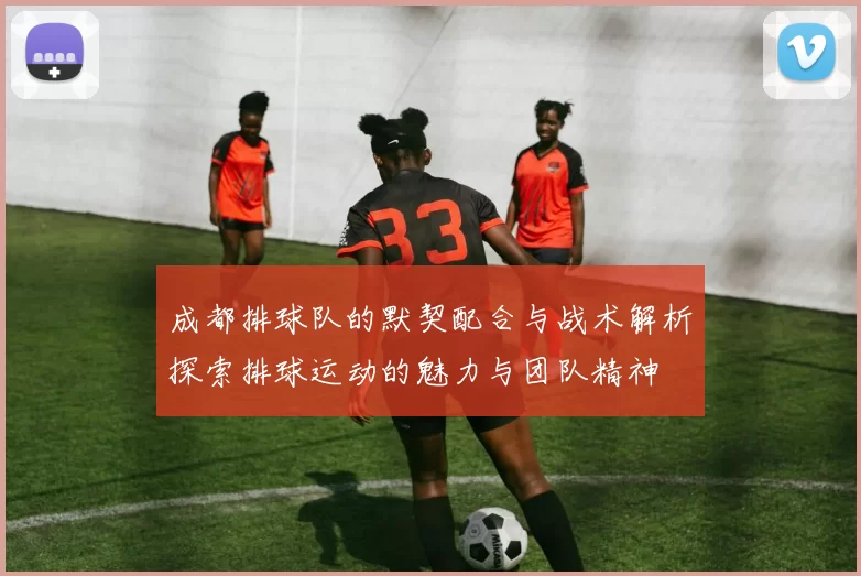 成都排球队的默契配合与战术解析探索排球运动的魅力与团队精神