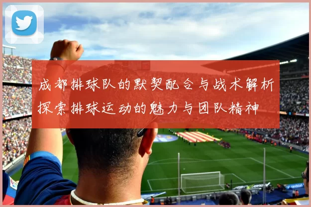 成都排球队的默契配合与战术解析探索排球运动的魅力与团队精神