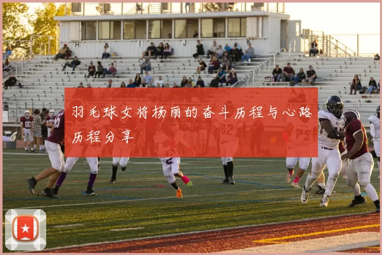 羽毛球女将杨丽的奋斗历程与心路历程分享