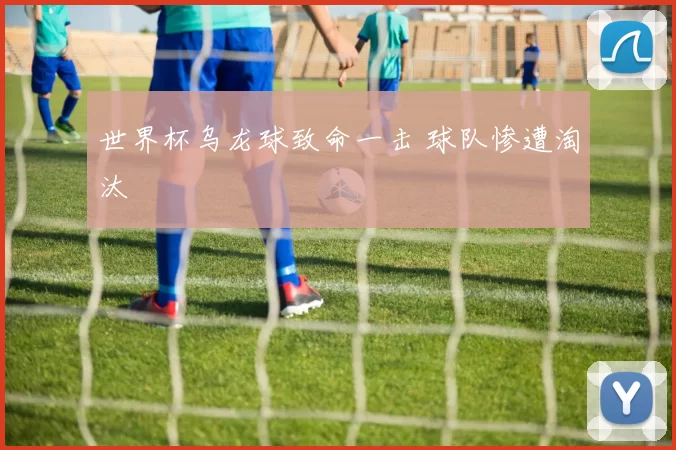 世界杯乌龙球致命一击 球队惨遭淘汰