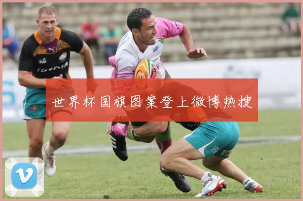 世界杯国旗图案登上微博热搜