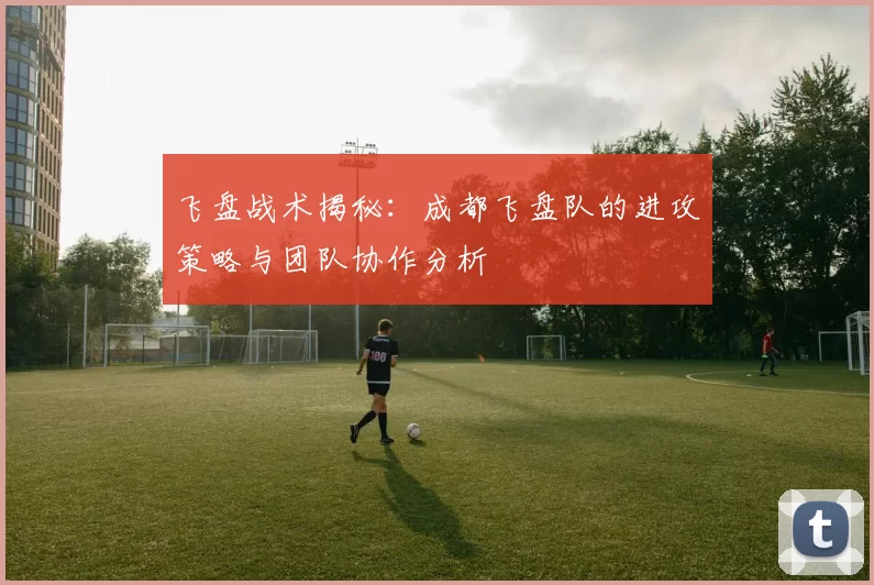 飞盘战术揭秘：成都飞盘队的进攻策略与团队协作分析