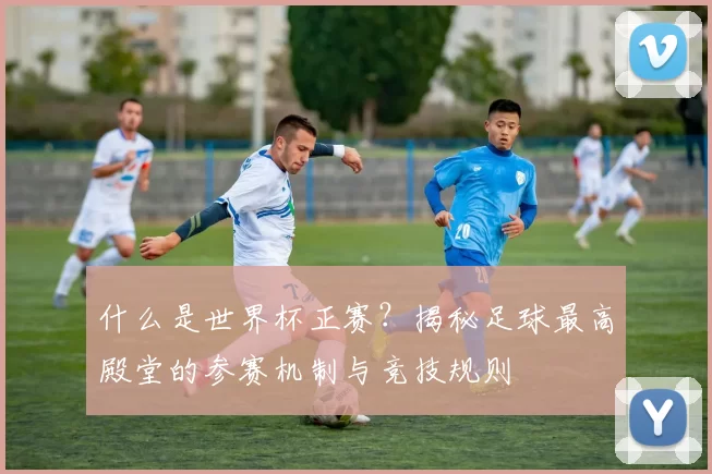 什么是世界杯正赛?揭秘足球最高殿堂的参赛机制与竞技规则