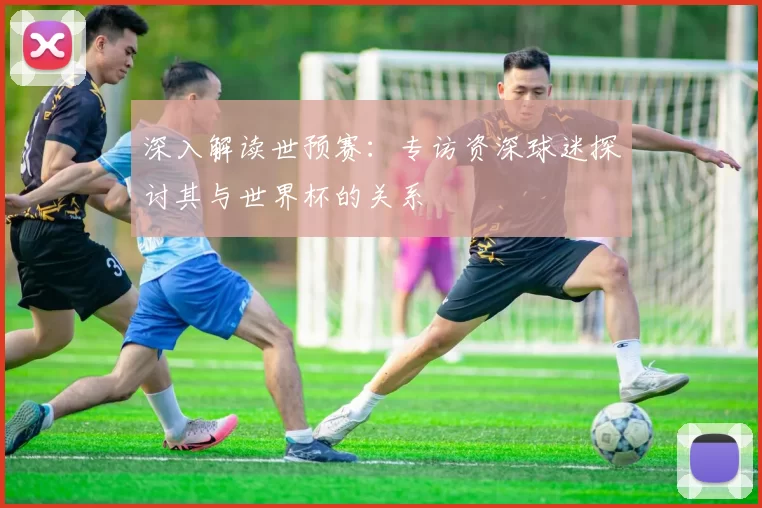 深入解读世预赛:专访资深球迷探讨其与世界杯的关系