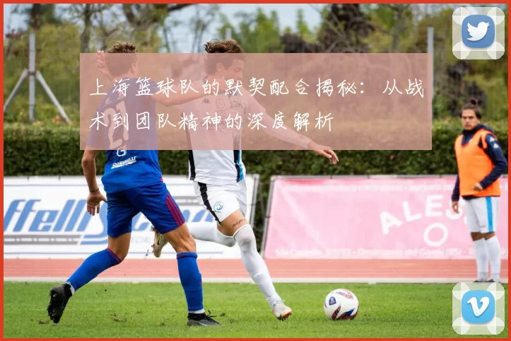 上海篮球队的默契配合揭秘:从战术到团队精神的深度解析