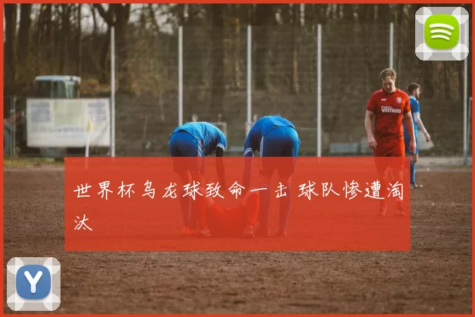 世界杯乌龙球致命一击 球队惨遭淘汰