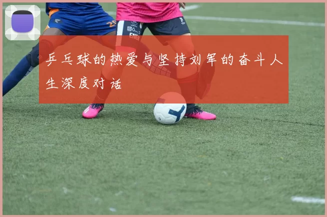 乒乓球的热爱与坚持刘军的奋斗人生深度对话
