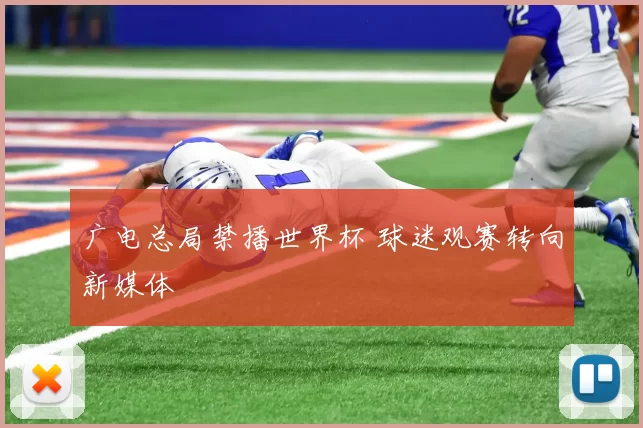 广电总局禁播世界杯 球迷观赛转向新媒体