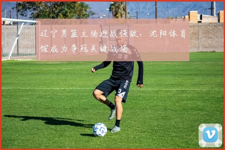 辽宁男篮主场迎战强敌，沈阳体育馆成为争冠关键战场